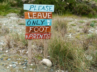 Why We Built&nbsp;WildKind