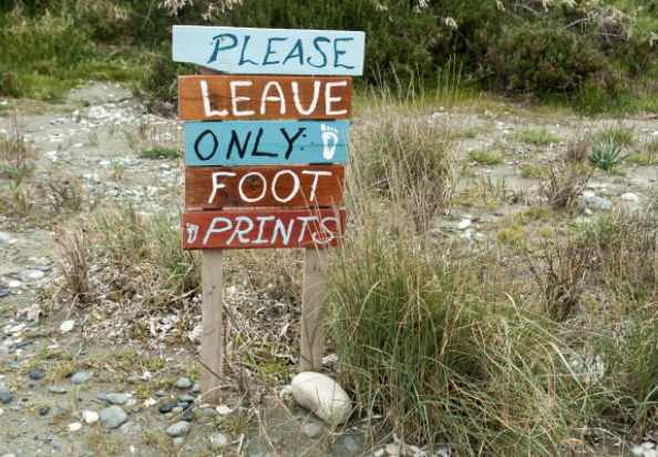 Why We Built&nbsp;WildKind